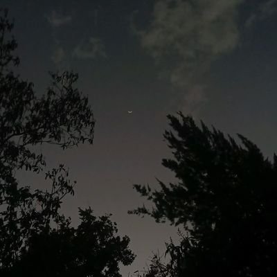 hawk_jpeg1's profile picture. 