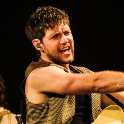 blondedniall's profile picture. love. light. niall