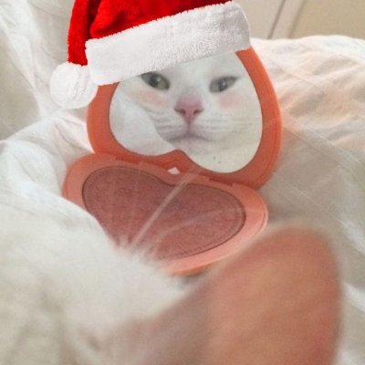 joosiepotsi's profile picture. minors DNI
/starsettwt