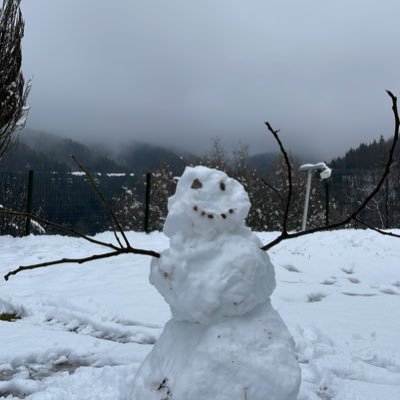 shinobidewish's profile picture. 