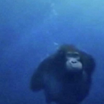 0xzuccy's profile picture. 