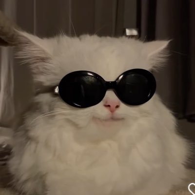 chesschifo's profile picture. mi piace dormire