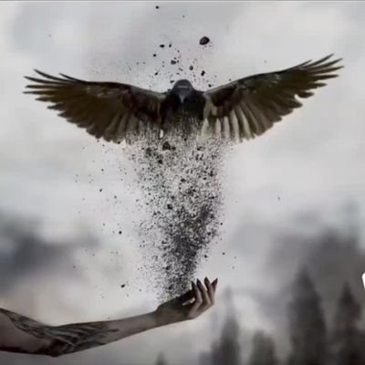 Silhouette1238's profile picture. 