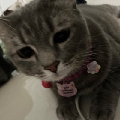 khaowpannn's profile picture. 