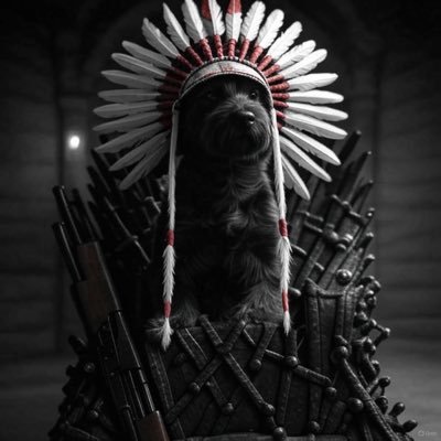 TobyTheGrey2025's profile picture. partnered patriot. mind your business. posts are my opinions and nothing more. I’ll prefer the more offensive option every time.