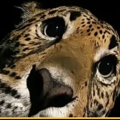 doutoramedica's profile picture. viver a usp é melhor que sonhar? | #studytwt