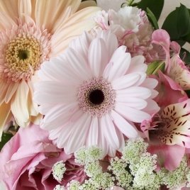 sharoushi_piyo's profile picture. R7社労士合格者です。（７度目の受験でやっと）
選択：労一、社一 と 択一：雇用の３科目救済でした。
２児の母（主婦：職探し中）
社労士受験では、主にＴＡＣの宮島先生にお世話になりました。
受験生のみなさんのお役に立てるサイトを目指します。
https://t.co/g6AjLJO7rj