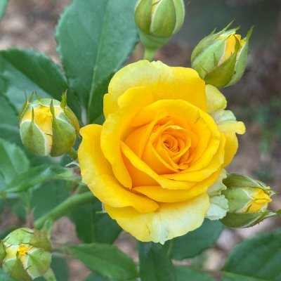 EricEnders21's profile picture. America First. Fear God. Follow your dreams. Ban pornography.