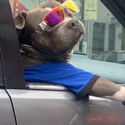 reshadxan's profile picture. I was born in 1994 and have cerebral palsy 
#Madridista
I love football ⚽
ex-graphic designer
#cs2 enjoyer