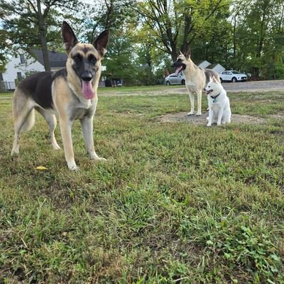 PicksByPetro's profile picture. Just a regular guy with a professional habit of beating the books, follow me for free picks, dm for paid picks