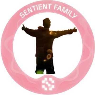 ShiSanBear's profile picture. 把脑海中的想法变成现实