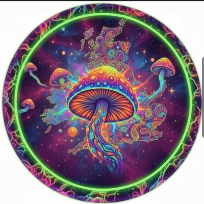 CardsCredi37554's profile picture. Unlock deeper realms of the mind with premium botanicals & visionary extracts. Curated for explorers ready to transcend. Telegram link 👇 for exclusive access