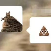 mmsmallsize's profile picture. 20↑，無言フォロー失礼します