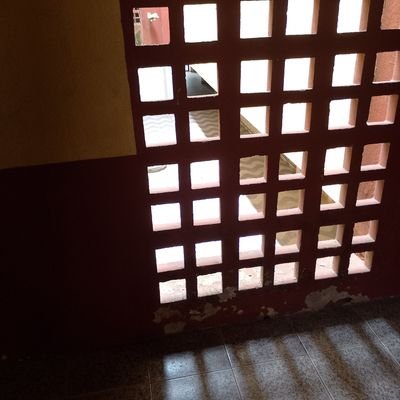 BurtonFerr88568's profile picture. 