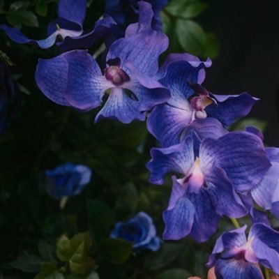 FLzDSXuj9d871's profile picture. 