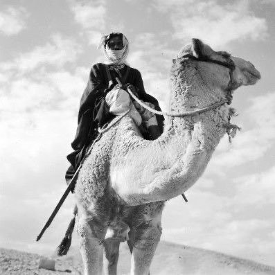 ARTYUSUAN's profile picture. freed from the fandoms' curse | 18 yo arab beduoin queer | anti-JKR | essvea22's