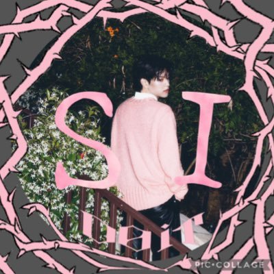 SI04128219's profile picture. 【Fan account】🐶❤/親子STAY(娘🥟❤)/Kyushu、娘が聴いてたGod's menuのスンちゃんの声に聴き惚れて、沼にハマった昭和STAYです。同世代STAYさんと繋がりたい✨いろんな方の📮に❤残しがちです…自身は気ままにつぶやきます🍀