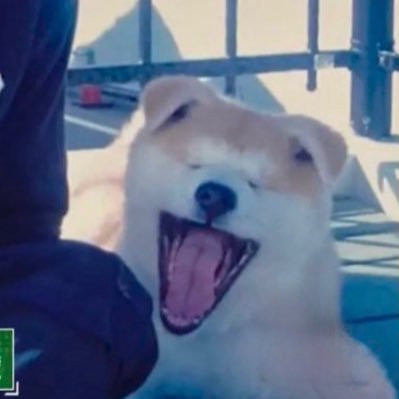 __227K's profile picture. 