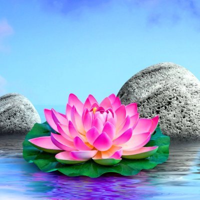 Camelliax1x1's profile picture. 🌺🪷
Join me on my designer journey!