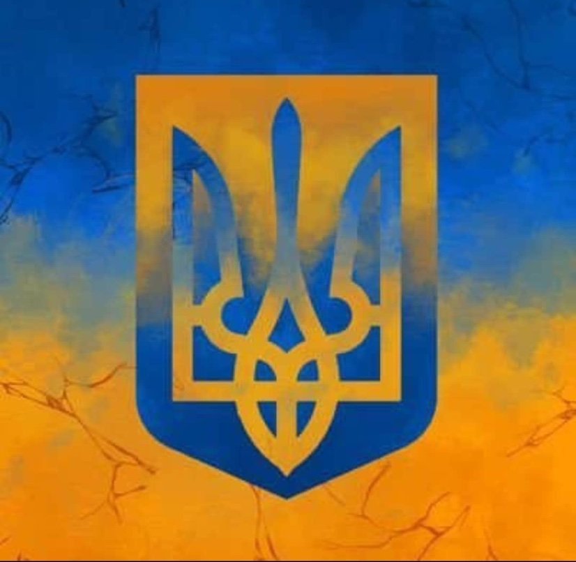 AnnaViktor7mc's profile picture. Slava Ukraine🇺🇦🪖Ukraine Armed Forces