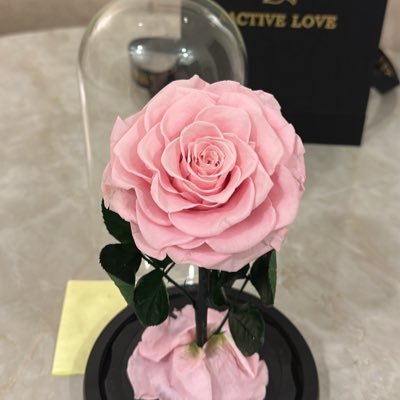 happineserr's profile picture. I see beauty everywhere