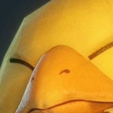 nadera_yeblu's profile picture. 