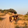 safarrnamah's profile picture. Travel | Work | Horse-Back Riding | Pakistan Administrative Service (PAS) | Tweets are personal.