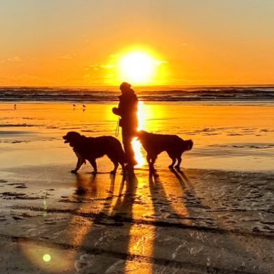 TatianeLis61202's profile picture. Mom, wife, addicted to insight 📚📰🌎 Sea lover 🌊 Vegetarian 🍏