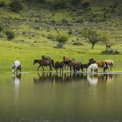 _ukhtt_'s profile picture. dead

https://t.co/4ixlziI3UQ