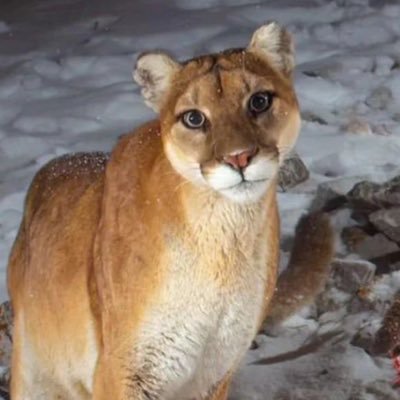 citsacrob's profile picture. 