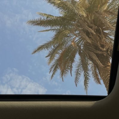 lailakoj004's profile picture. Statistician 📊
KAU student