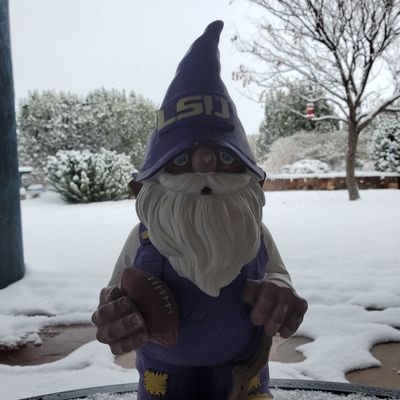 LeBron4LSU's profile picture. Enjoy the ride & lift others! Former LSU & USL Walk-On student-athlete. Family/Friends/Sports/Fitness/Start-ups/Analytics. Geaux🐯🐏🦡✌ Chiefs Saints 🏈⚾🏀⛷️🚴