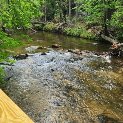 AndyK1939546's profile picture. Older gentleman enjoying X (and tr!bbing) when I can.