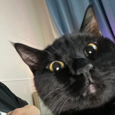 rainnote_shell's profile picture. あのランプの かたちの ちょうどよさを おもいだすと ケツイが みなぎった