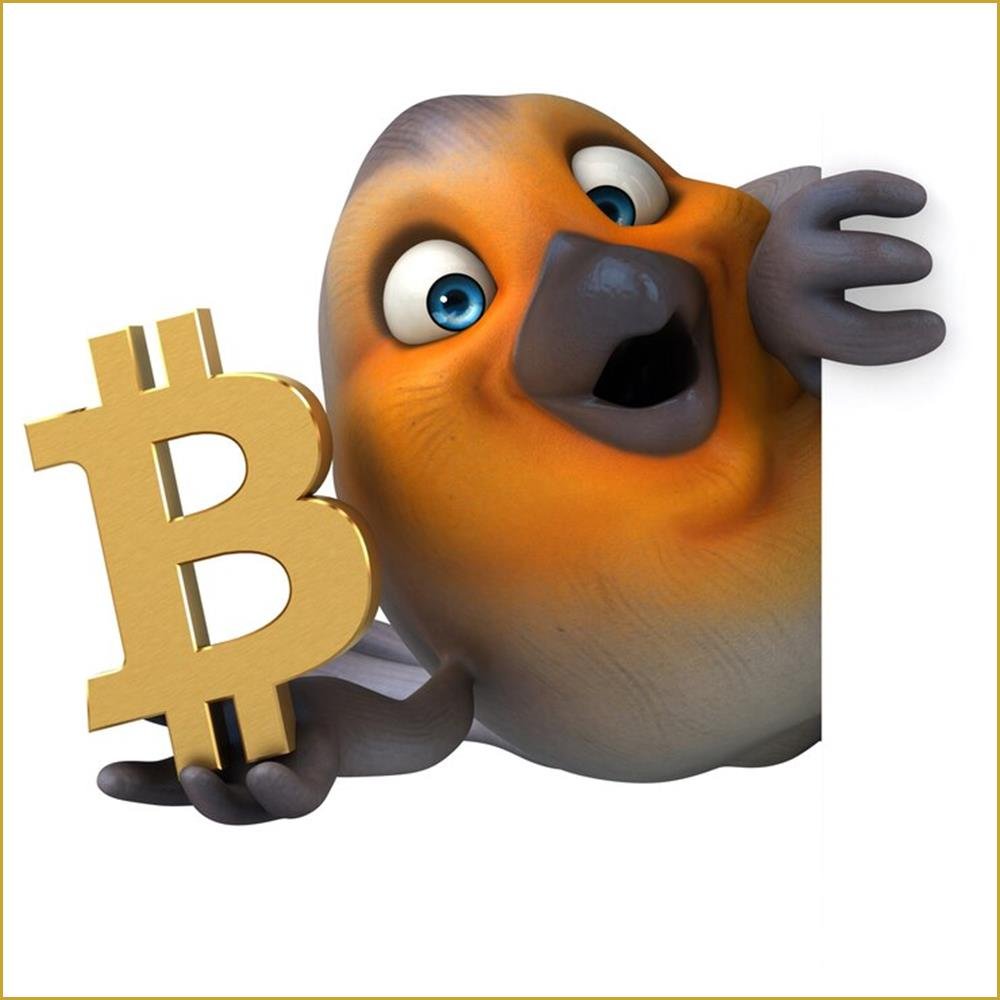 PLangtree75626's profile picture. Night owl creating fun moments 🖖👀