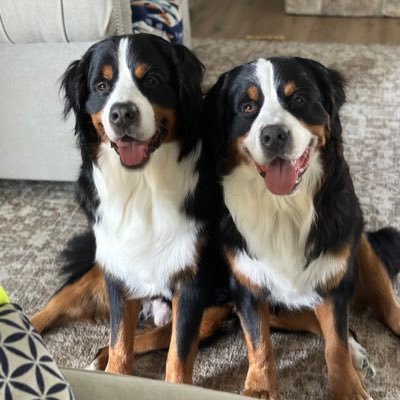 KBKB1000's profile picture. 