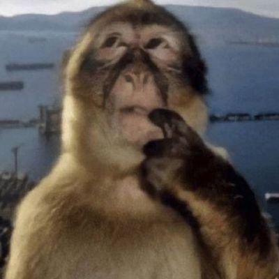 homopliers's profile picture. We still have each other.. right?