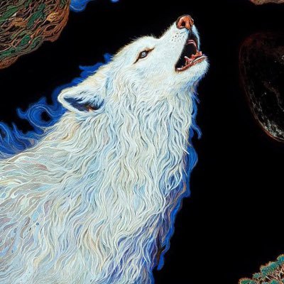 WzErre's profile picture. |Contrarian|Options&Crypto|🥏