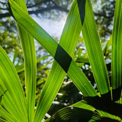 Tony_Jor001's profile picture. 