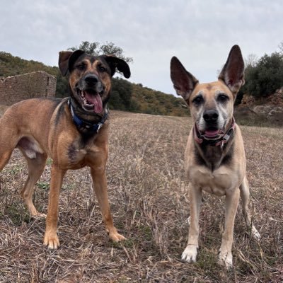 DarknessTHC's profile picture. Muchas palabras pierden el sentido cuando no acompañan a los actos