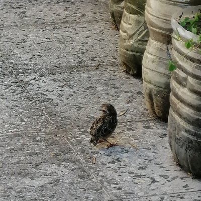 0xparkeqpapa's profile picture. 