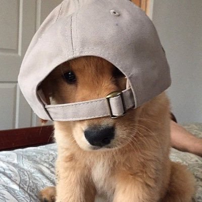 nongeurosocute's profile picture. ปวยเล้งแม่น้องยูโร