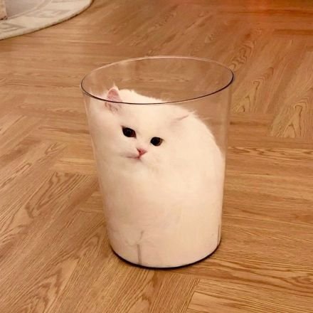 MikuMoni33's profile picture. 