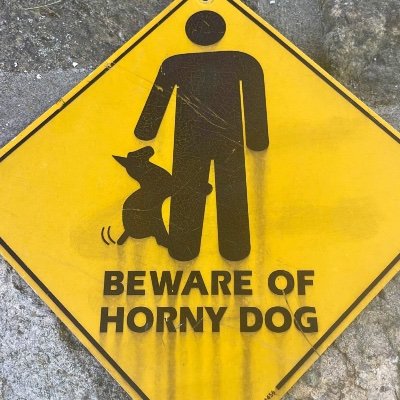 104egg5's profile picture. 25 | he/it | loyal guard dog 🐾 | pro-fiction 🔞