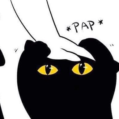 nomatterhollie's profile picture. 