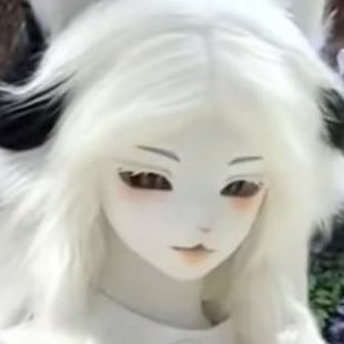 Mybeachisgay_'s profile picture. 我喜欢你们的中国,希望中 国有20个左右 希望蒙古,西藏,台湾全部独立