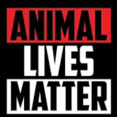 bernieslaven's profile picture. Animal lover , Vegan ,played a bit of footy + do a bit of art. I do a weekly podcast named Total BS + and Facebook + YouTube live .discussing my team Boro f c