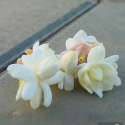 lxlxl10_'s profile picture. 