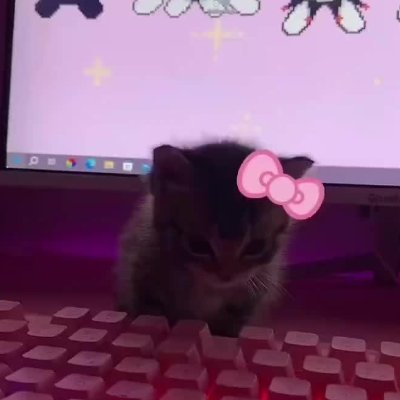 r4i_iin's profile picture. . 𝟭𝟬.𝟬𝟯.𝟮𝟱💍🤍 : ☆
﹟ 𝙄𝙨 𝙞𝙩 𝙘𝙤𝙡𝙙 𝙤𝙪𝙩? ᶻ 𝗓 𐰁
: "𝙒𝙞𝙩𝙝 𝙩𝙝𝙞𝙨 𝙝𝙖𝙣𝙙, 𝙄 𝙬𝙞𝙡𝙡 𝙡𝙞𝙛𝙩 𝙮𝙤𝙪𝙧 𝙨𝙤𝙧𝙧𝙤𝙬𝙨" ,♡