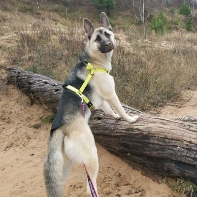 MichiganMan3801's profile picture. 